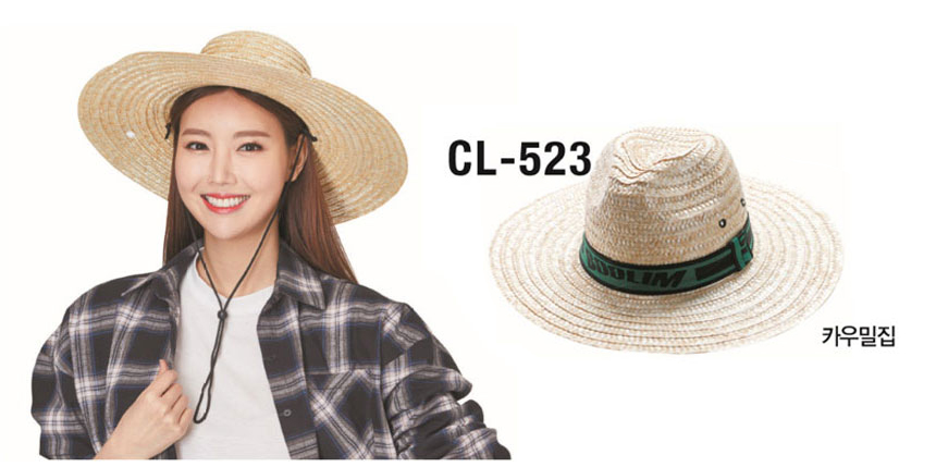 ��ü����,��ü�����ֹ�����,��ȣȸ��ü����