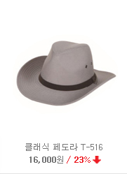 ��ü��������