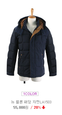 �ٹ�������