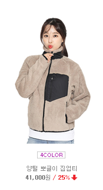 ��ü��������